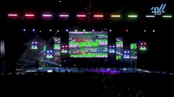 The Stingray Allstars - Shadow [2025 L6 Senior Coed - Medium Day 2] 2025 CHEERSPORT National All Star Cheerleading Championship