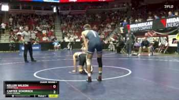 3A-132 lbs Champ. Round 1 - Keller Wilson, Cedar Falls vs Carter Schorsch, Lewis Central