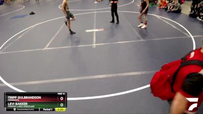 136 lbs Cons. Round 3 - Tripp Gulbrandson, Minnesota vs Levi Bakker, Chisago Lakes Wrestling