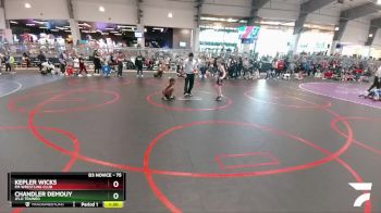 75 lbs Champ. Round 2 - Kepler Wicks, FM Wrestling Club vs Chandler Demouy, Jflo Trained