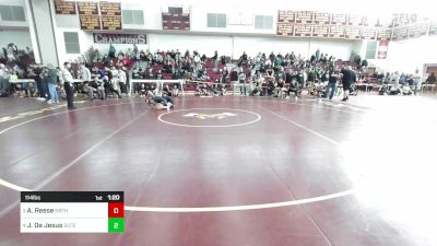 114 lbs Consolation - Allison Reese, Northbridge vs Jerymar De Jesus, Greater Lawrence