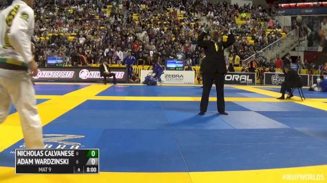 Nicholas Calvanese vs Adam Wardzinski IBJJF 2016 Worlds '