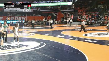 3A 113 lbs Cons. Round 1 - Andre Rice, Hillside (Proviso West) vs Jackson Schadegg, Belleville (East)