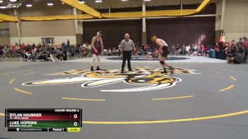 174 lbs Champ. Round 2 - Luke Hopkins, Baldwin Wallace vs Dylan Haubner, St. John Fisher