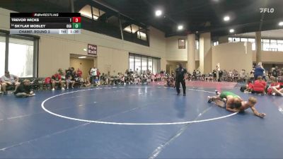 138 lbs Champ. Round 2 - Skylar Mobley, Oak Grove, AL vs Trevor Wicks, T