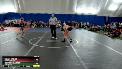 100 lbs Round 3 (6 Team) - Noah Hagge, Killer Elite vs Dominic Carter, Lake WC