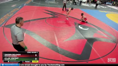 Cons. Round 3 - Zayden Delgado, Doniphan-Trumbull vs Kyler Vincent, Gordon-Rushville