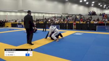 CATHERINE FARAGO vs CLAUDIA GLASS 2024 World Masters IBJJF Jiu-Jitsu Championship