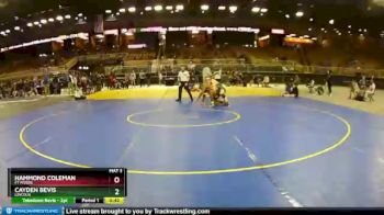 195 lbs Cons. Round 6 - Cayden Bevis, Lincoln vs Hammond Coleman, Ft Myers