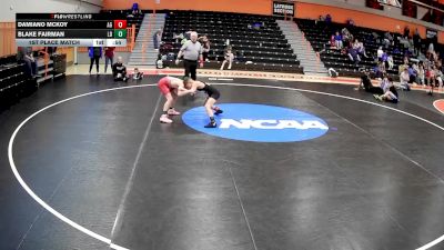 80 lbs 1st Place Match - Blake Fairman, Lions Den vs Damiano Mckoy, Albert Gallitan