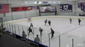 Replay: Home - 2024 Impact vs WBS Knights | Mar 8 @ 4 PM