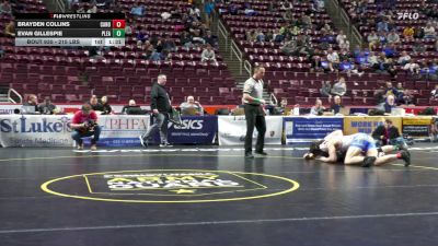 215 lbs Preliminaries - Brayden Collins, Canon-McMillan vs Evan Gillespie, Pleasant Valley