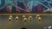 Champion Dance and Cheer -  [2016 Mini Jazz Dance  Sunday]