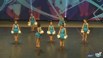 Champion Dance and Cheer -  [2016 Tiny Pom Dance  Sunday]