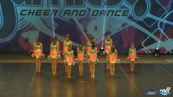 Ultimate Storm Cheer -  [2016 Youth Pom Dance  Sunday]