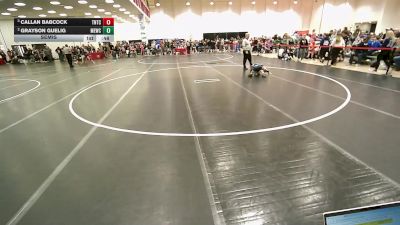 56 lbs Semis - Callan Babcock, Team Nazar Training Center vs Grayson Guelig, MN Elite Wrestling Club