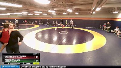 85-93 lbs Round 2 - Maverick Mortensen, Aviator Wrestling Academy vs Tomasi Faaliliu, Team Pride Academy