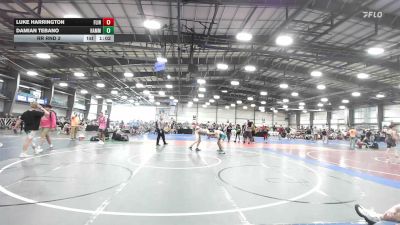 138 lbs Rr Rnd 3 - Luke Harrington, Flint Tropics - HSB vs Damian Tebano, Hammer Wrestling Club - HSB