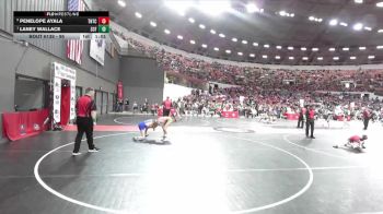 95 lbs Quarterfinal - Laney Wallace, Saint Croix Falls vs Penelope Ayala, Team Nazar Training Center