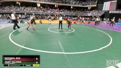 5A 165 lbs Quarterfinal - Marky Gallegos, Canyon Randall vs Nathanial Jean, Northwest