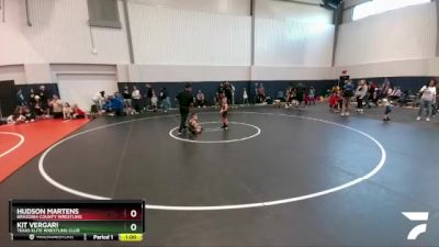 48 lbs Quarterfinal - Hudson Martens, Brazoria County Wrestling vs Kit Vergari, Texas Elite Wrestling Club