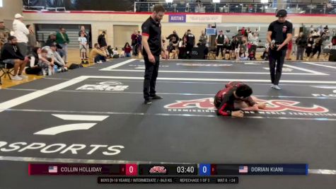 Dorian Kiani vs Collin Holliday 2024 ADCC Austin Open