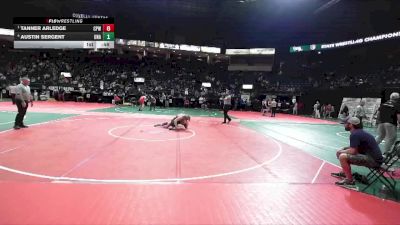 209 lbs Semifinal - Tanner Arledge, CPWA vs Austin Sergent, Unattached