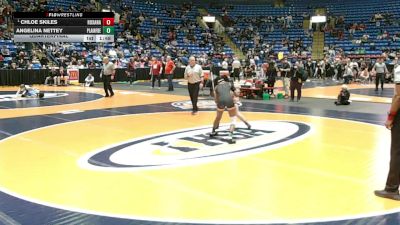 110 lbs Quarterfinal - Chloe Skiles, Roxana vs Angelina Nettey, Plainfield (East)