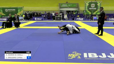 ALBERTO RAMOS DE ARAUJO vs CAIO GREGORIO CIPRIANO 2024 Brasileiro Jiu-Jitsu IBJJF