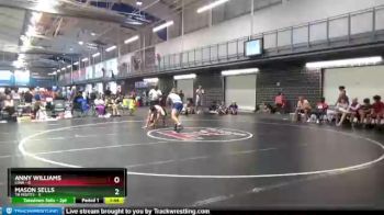 145 lbs Round 5 (6 Team) - Anny Williams, CIAW vs Mason Sells, TN Misfits