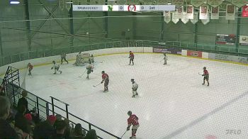 Replay: Home - 2025 CNHA Gold U15 vs CBHA Hawks U15 | Mar 8 @ 2 PM