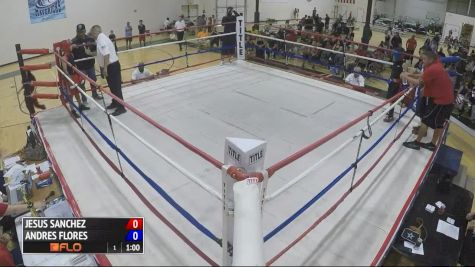 Jesus Sanchez v. Andres Flores - Day 2, Ring 2, Houston Open Ring Nationals 2016