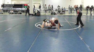 132 lbs Consi Of 128 #2 - Greyson Pettit, NJ vs Cameron Gue, NC