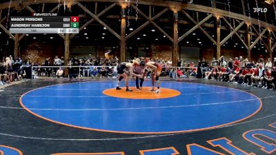 144 lbs Quarters & 1st Wb (16 Team) - Aundreay Hamilton, Sonoraville vs Mason Persons, Columbus