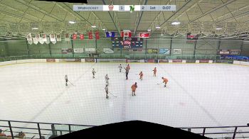 Replay: Home - 2024 NWCAA Bronks U13 vs CNHA Gold U13 | Dec 17 @ 5 PM