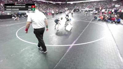 D3-120 lbs Semifinal - Aidan Gruenenfelder, Pecatonica/Argyle vs Derek Godard, Auburndale