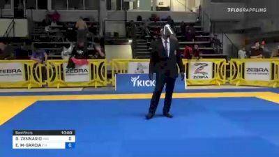 DAVID ZENNARIO vs ESTEVAN G MARTINEZ-GARCIA 2020 American National IBJJF Jiu-Jitsu Championship
