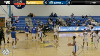 Replay: Adelphi vs New Haven - Men's | Jan 2 @ 7 PM