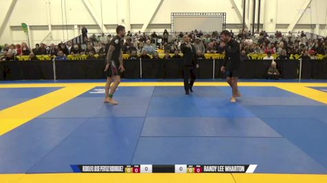 Randy Lee Wharton vs Rodolfo Jose Pertuz Rodriguez 2024 World IBJJF Jiu-Jitsu No-Gi Championship