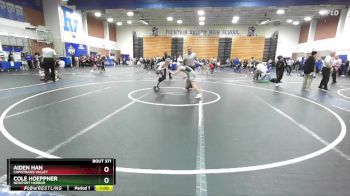 106 lbs Cons. Round 1 - Cole Hoeppner, Newport Harbor vs Aiden Han, Capistrano Valley