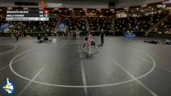 115 lbs Cons. Round 3 - Brooklyn Nelson, Fort Dodge vs Molly Steiner, Clinton