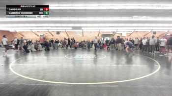 105 lbs Consi Of 4 - David Lall, Sinking Spring vs Cameron Heisinger, Webster