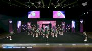 Unity Cheer Dortmund - Unity Rhinos [2026 IO C 4 Day 1] 2026 Summer All Level Championship West