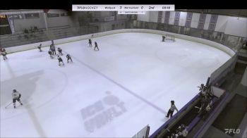 Replay: Home - 2024 Hartford U12 vs Mid Fairfield U12 | Feb 24 @ 12 PM