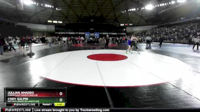 175 lbs Semifinal - Jullian Amadeo, FordDynastyWrestlingClub vs Cody Galpin, Mat Rats Rebooted Wrestling