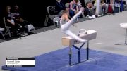 Maxwell Odden - Pommel Horse, North Valley Gym - 2021 US Championships