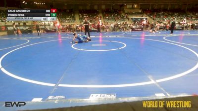 115 lbs Consi Of 8 #1 - Calib Anderson, Cowboy Wrestling Club vs Pedro Pena, Tuscon Cyclones