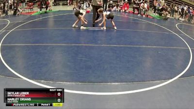 62 lbs Cons. Round 1 - Skylar Leber, Devils Wrestling vs Harley Orians, Gold Rush