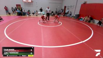 107 lbs Round 5 (6 Team) - Carly Rodriguez, TMNT vs Tylie Ramos, High Plains Marauders