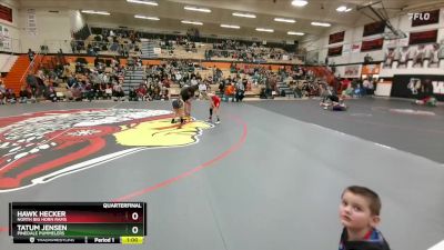 49-53 lbs Quarterfinal - Hawk Hecker, North Big Horn Rams vs Tatum Jensen, Pinedale Pummelers